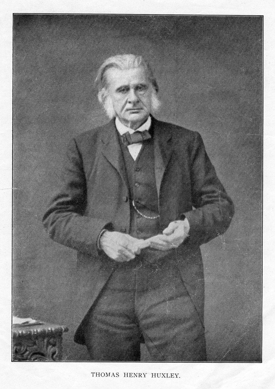 Thomas Henry Huxley , britisk biolog, ca 1870-tallet av Unbekannt