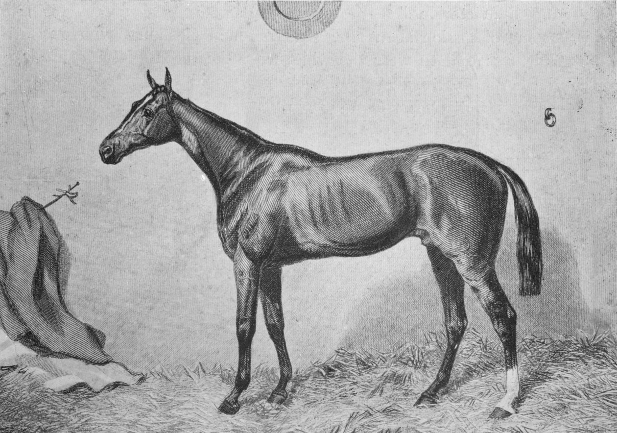 Thormanby, c1860, 1911 av Unbekannt