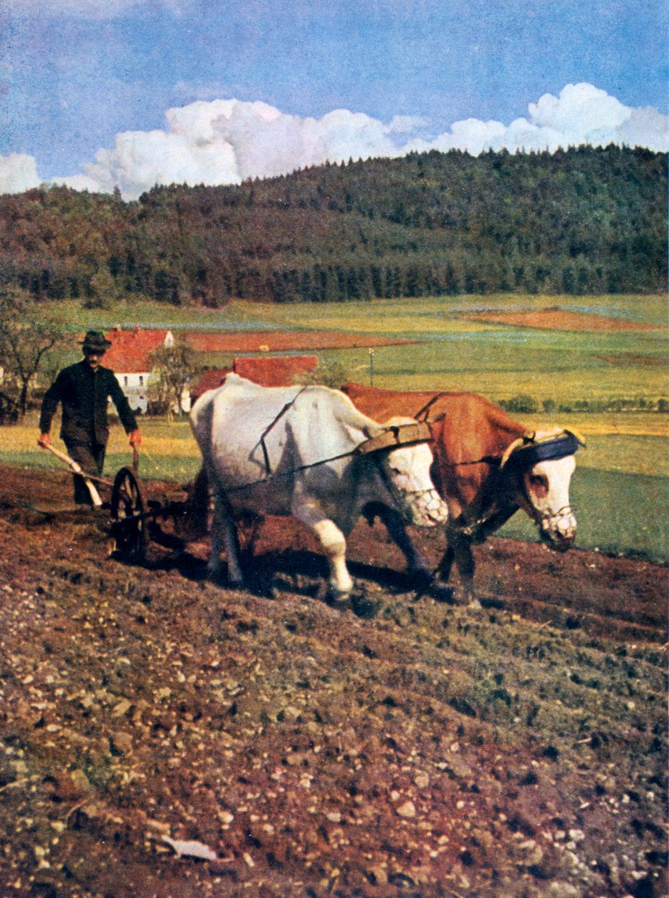 Tilling, Tyskland, 1943 av Unbekannt
