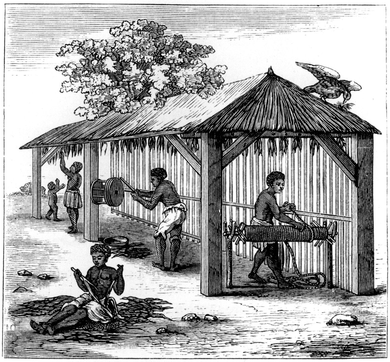 Tobakksforberedelse, 1873 av Unbekannt