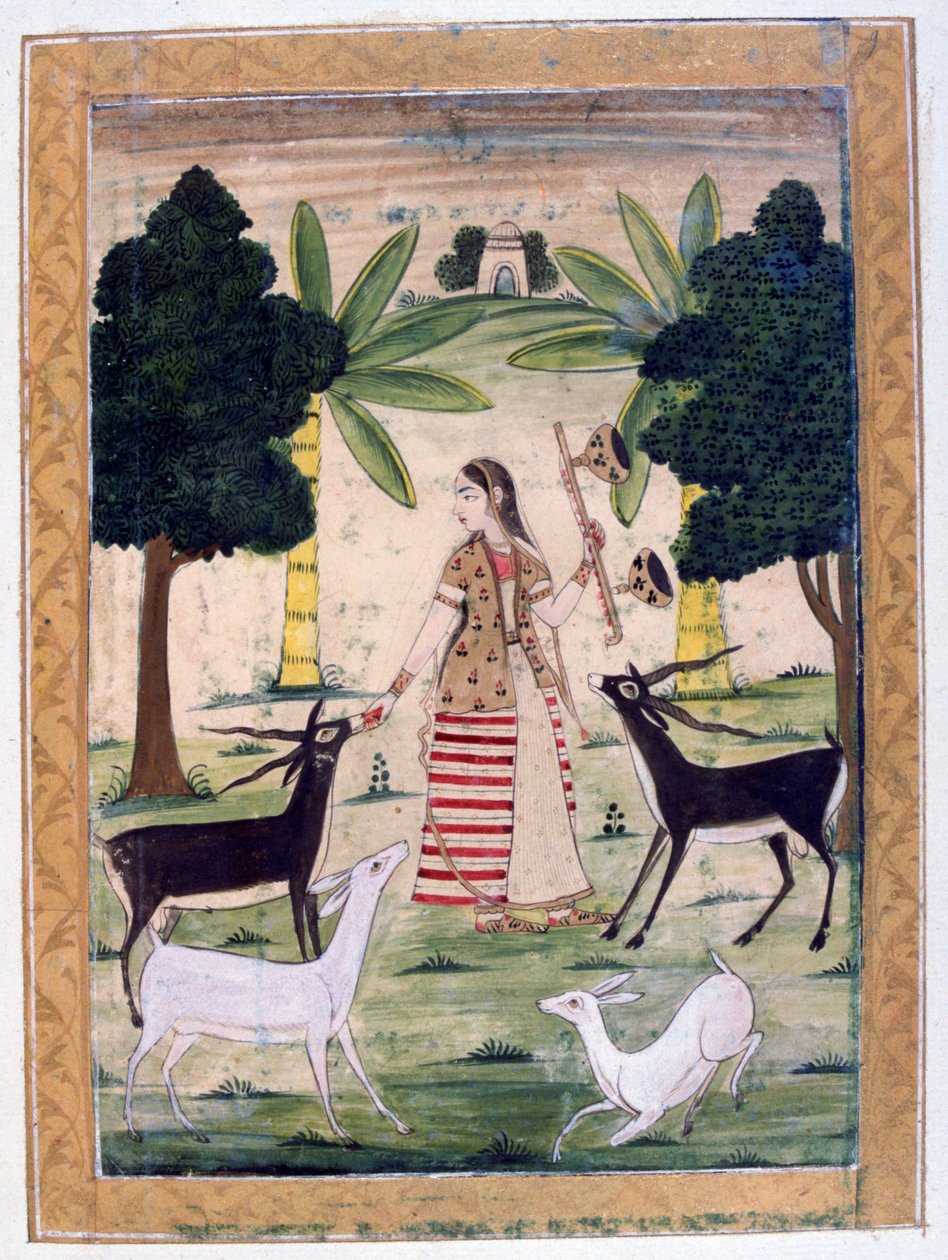 Todi Ragini, Ragamala Album, School of Rajasthan, 1800-tallet av Unbekannt