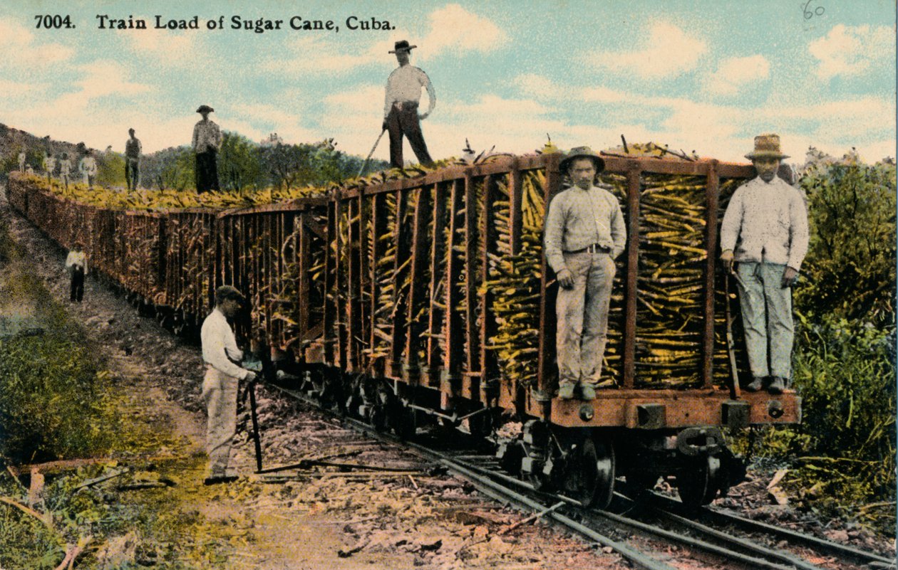 Toglast med sukkerrør forlater feltet, Cuba, 1915 av Unbekannt