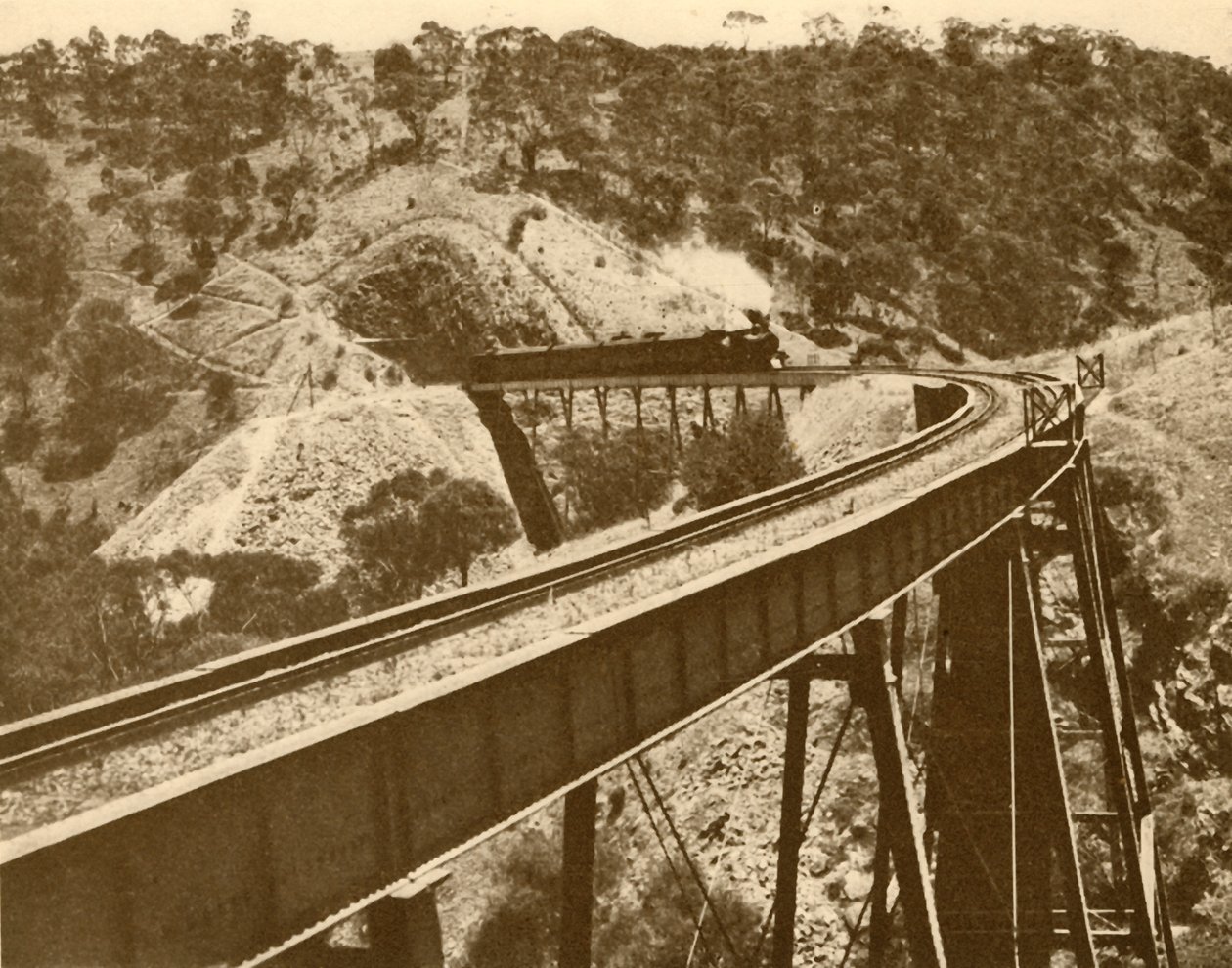 Tog passerer over viadukten, Mount Lofty Range, Sør-Australia, 1930. av Unbekannt