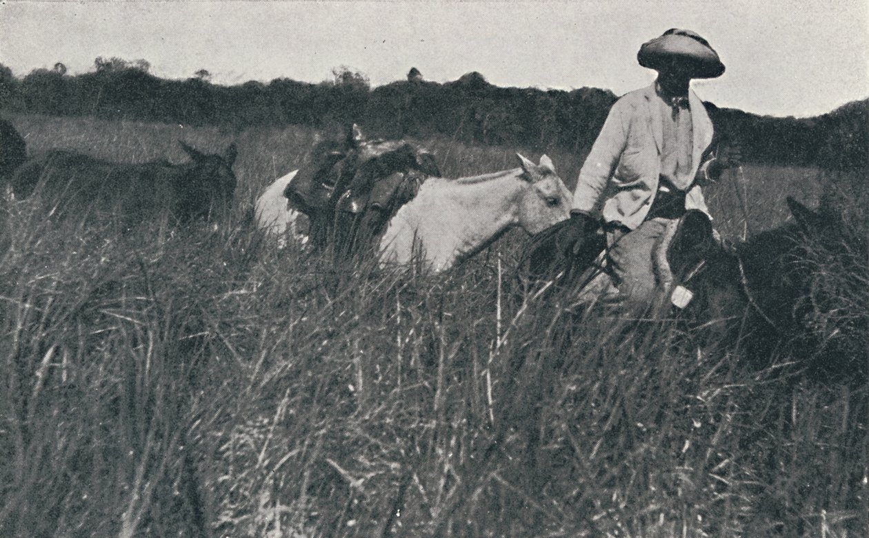 Reise på Pampas, 1916 av Unbekannt