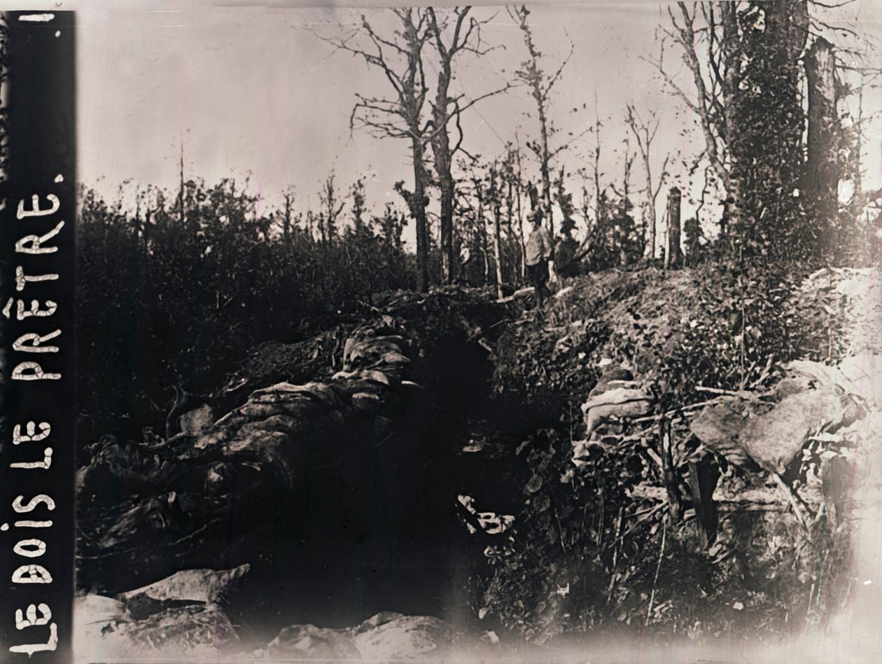 Trenches, Bois-le-Prêtre, Lorraine, Nord-Frankrike, c1914-c1918 av Unbekannt