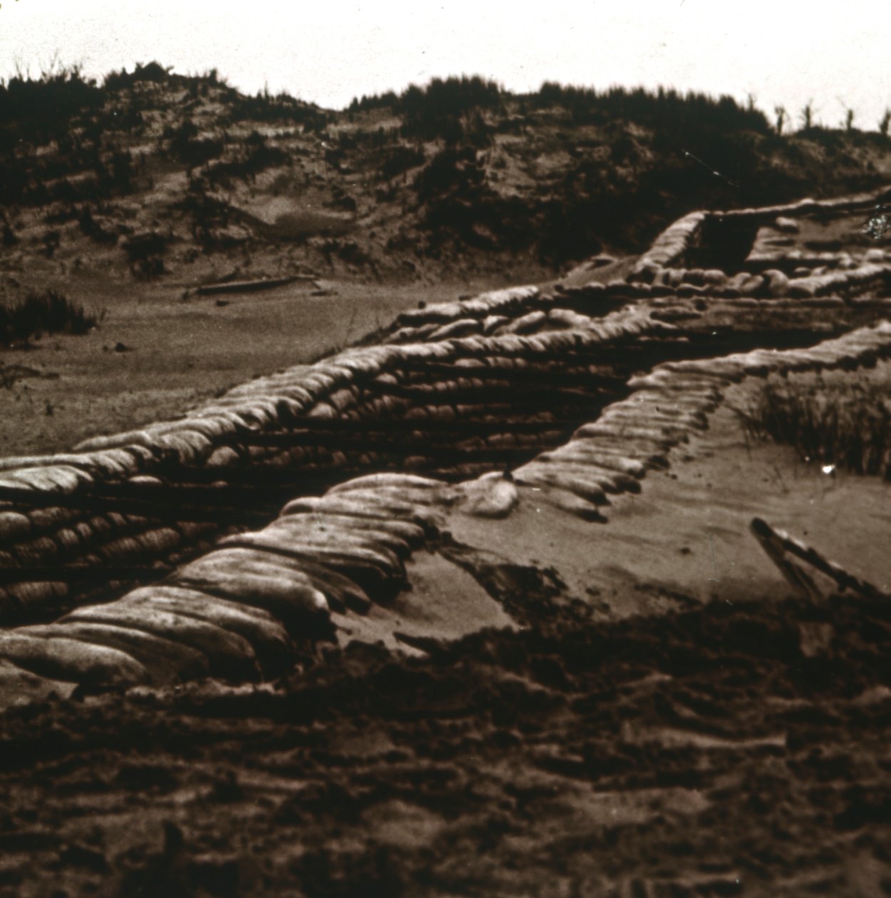 Grøfter i ly av sanddynene, Nieuwpoort, Flandern, Belgia, c1914-c1918 av Unbekannt