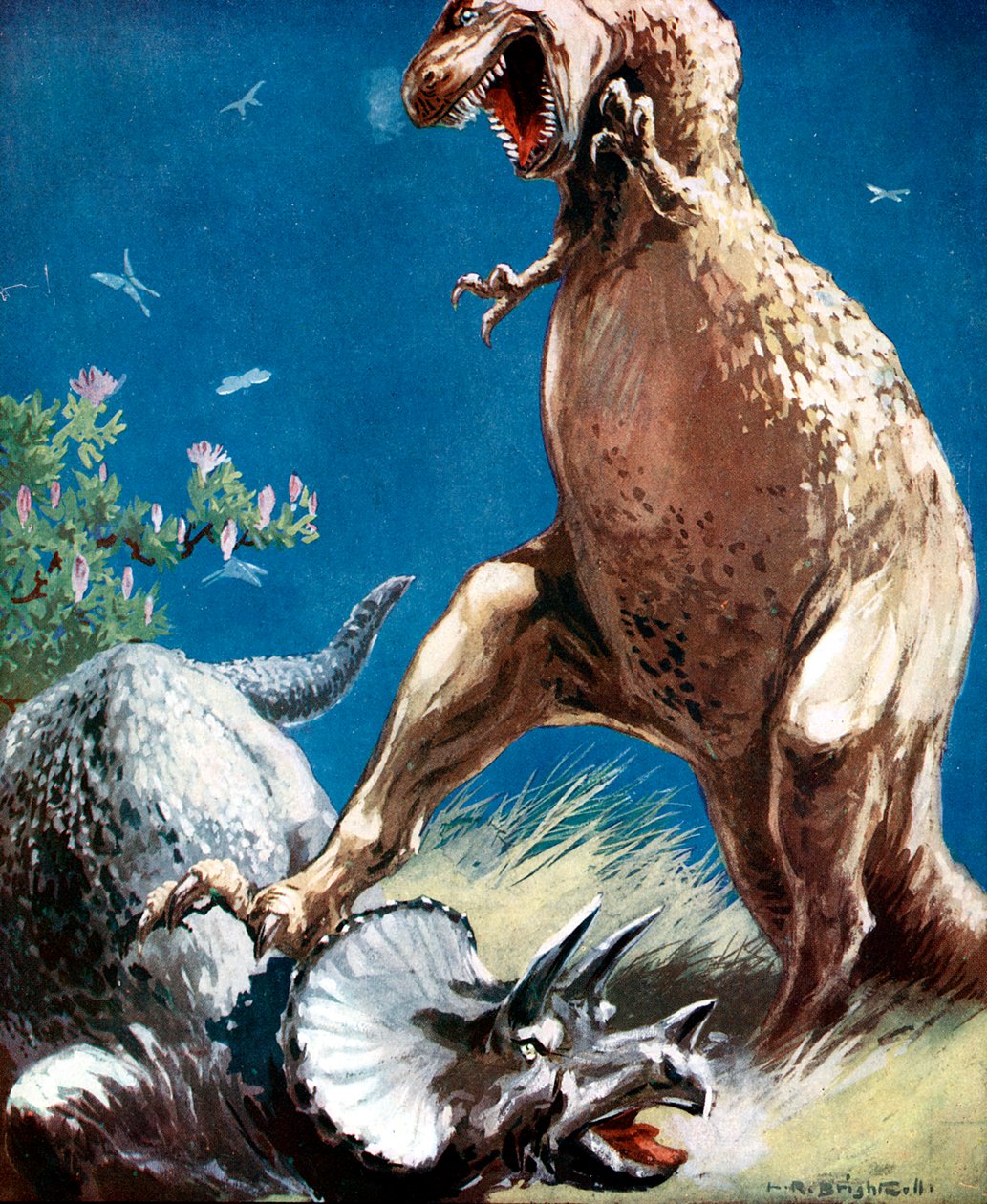 Triceratops, en hornet dinosaur, holdt nede av en tyrannosaur, c1920 av Unbekannt