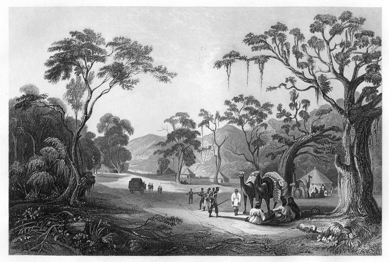 Tropper slo leir ved inngangen til Keree-passet, nord for Meerut, India, c1860 av Unbekannt