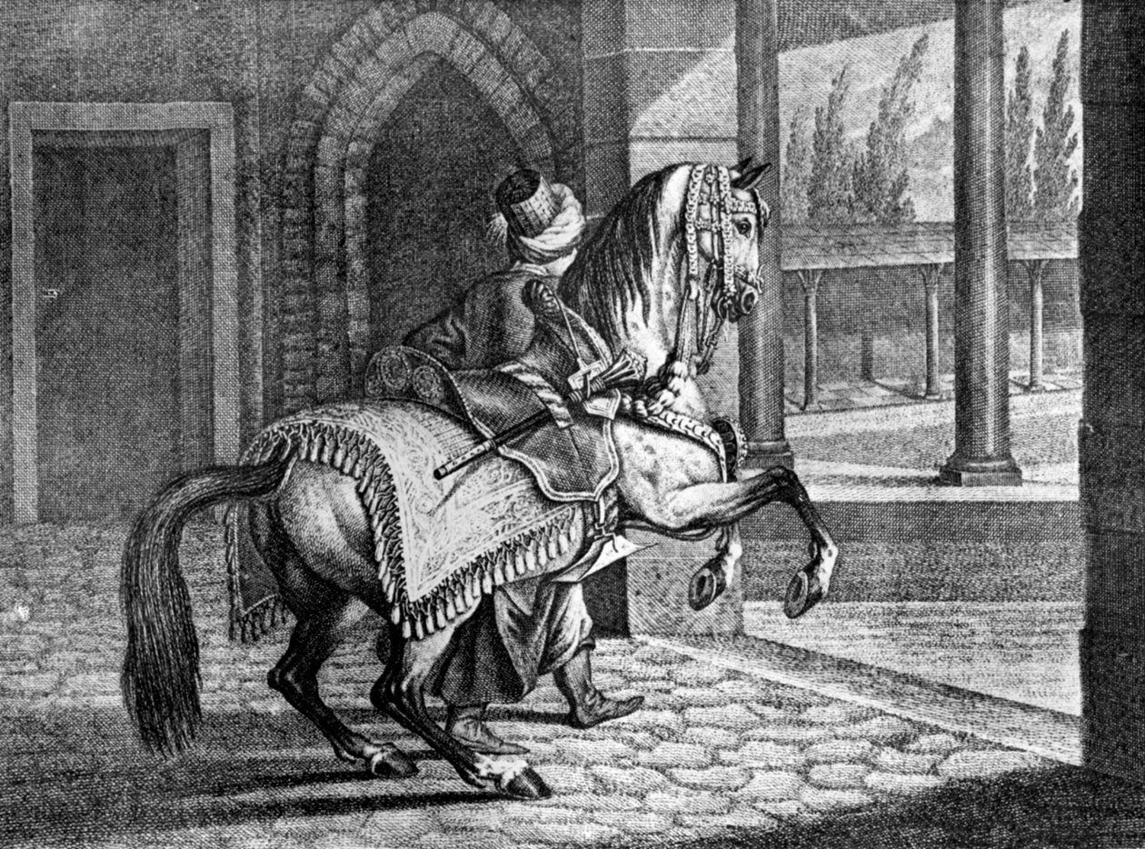 Tyrkiske sultaner Arabisk salhest, 1722, 1938 av Unbekannt
