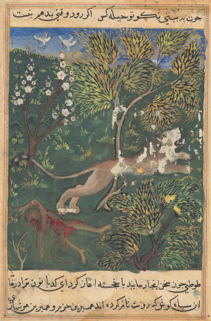Tuti-Nama Tales of a Parrot: Tale XXIX, ca. 1560. av Unbekannt