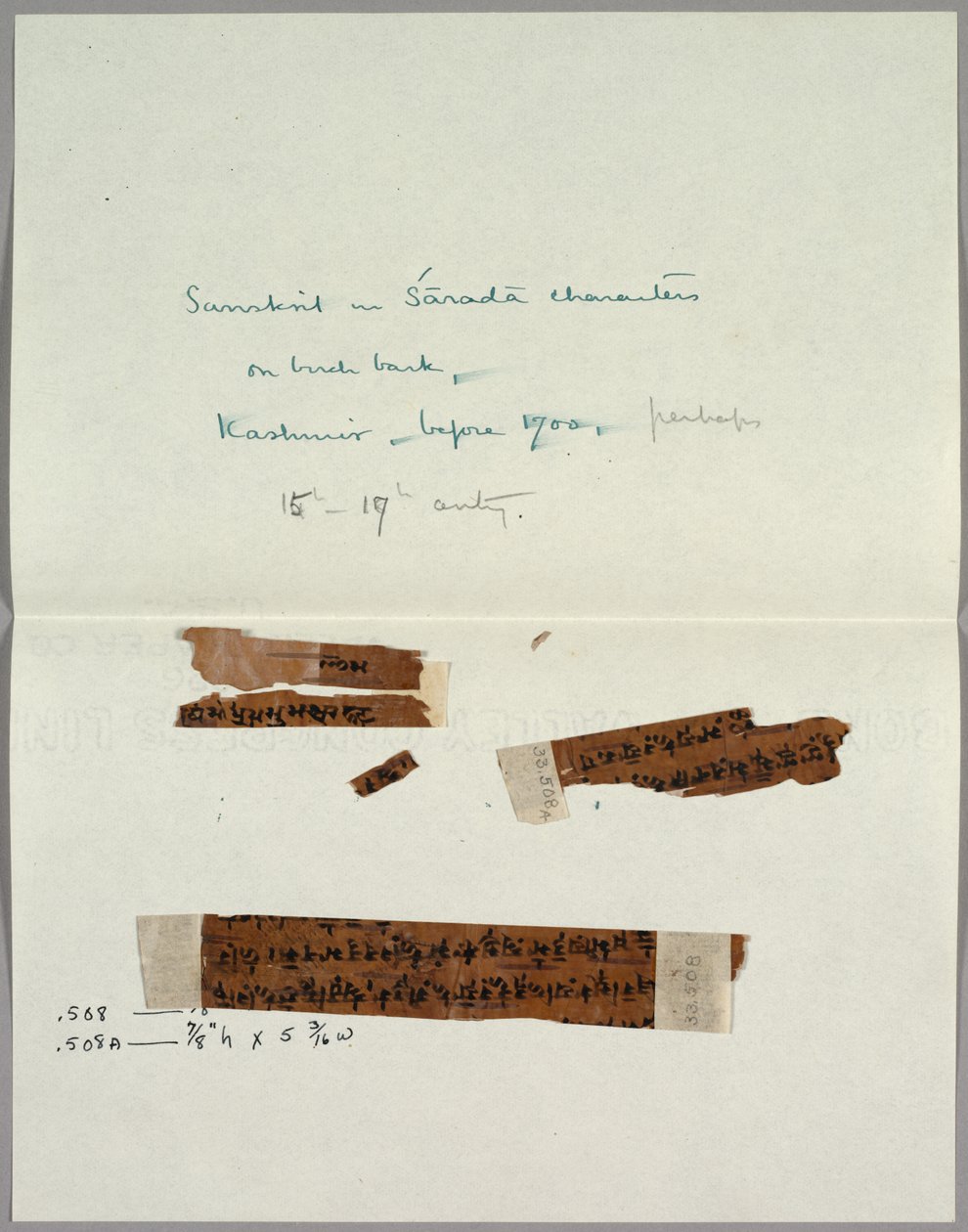 To fragmenter av bark med sanskrit, før 1700. av Unbekannt