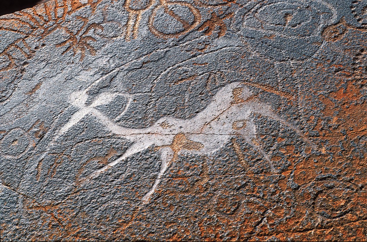 Twyfelfontein bergmalerier, DAMARALAND, NAMIBIA av Unbekannt