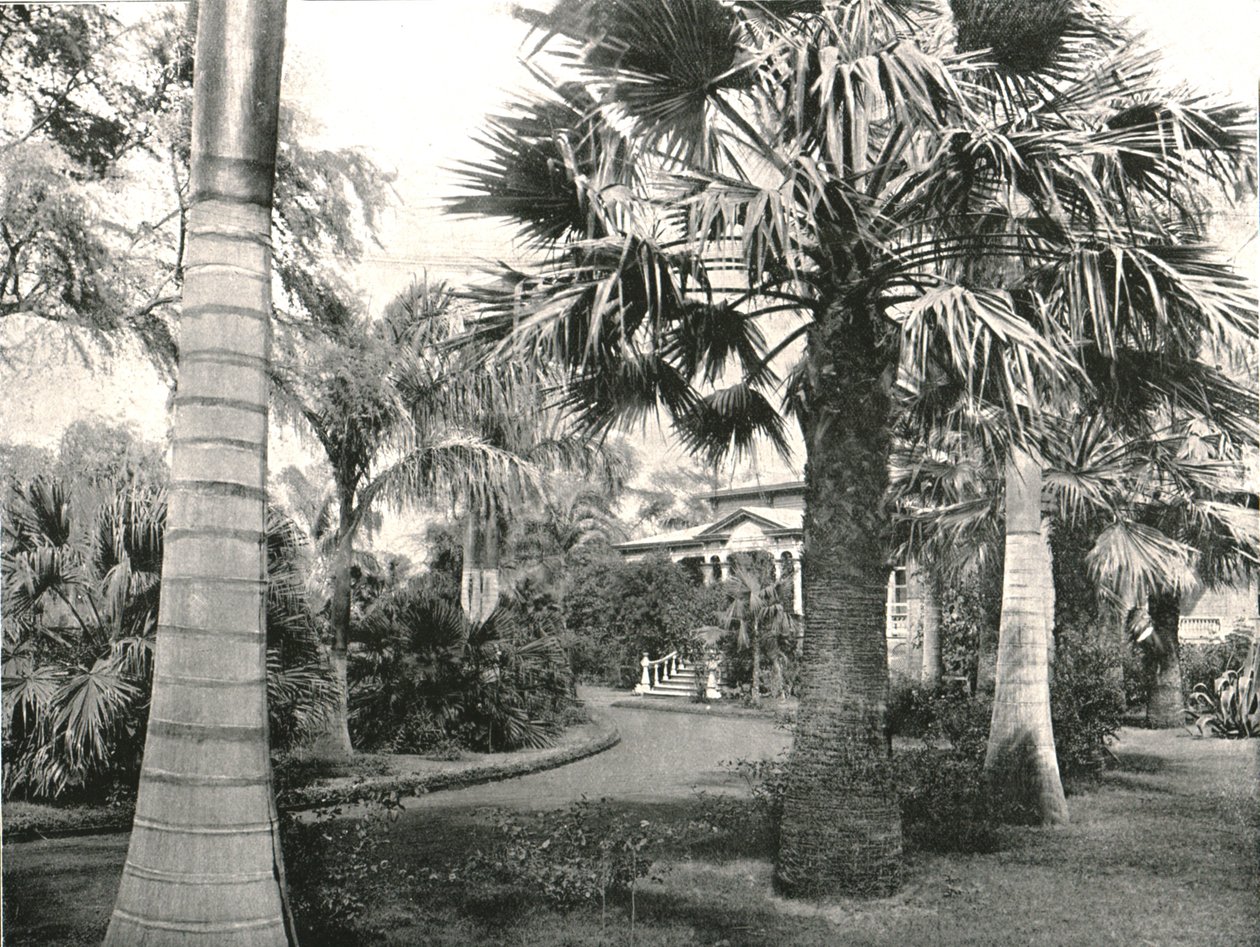 Typisk hawaiisk hage, Honolulu, USA, 1895. av Unbekannt