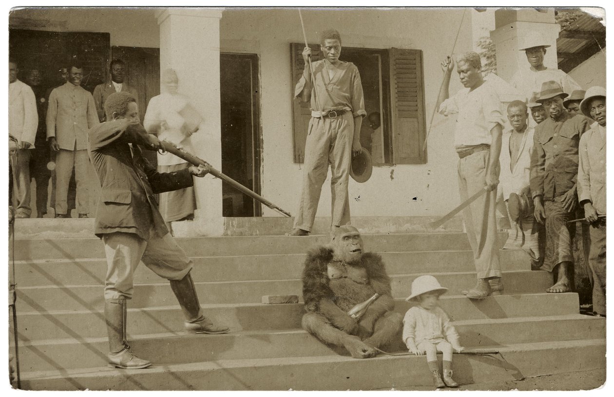 En temmet gorilla, ca. 1910 (s/hvitt-bilde) av Unbekannt