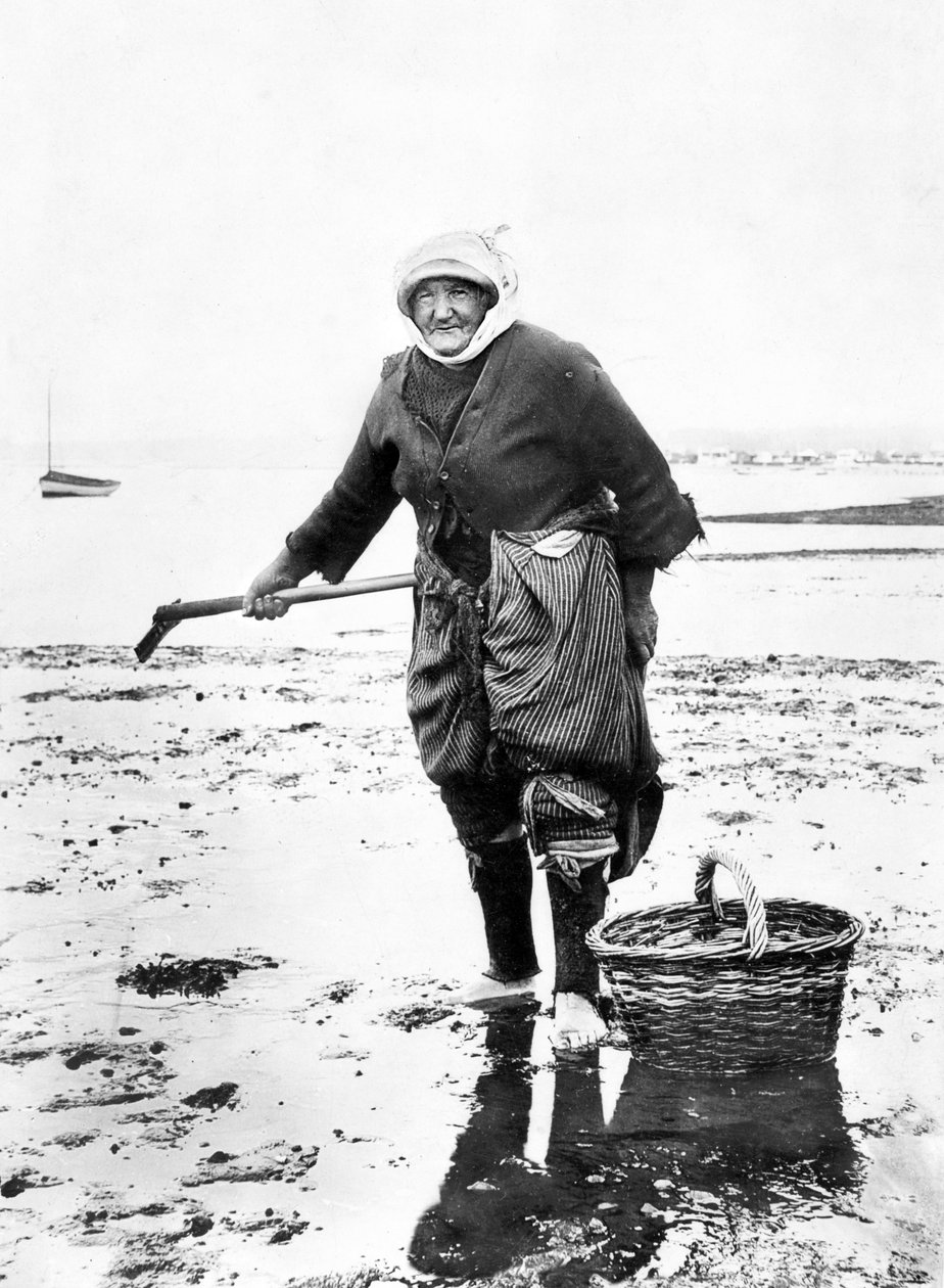 Storbritannia: En gammel dame som samler hjertemuslinger på kysten. c1890 av Unbekannt