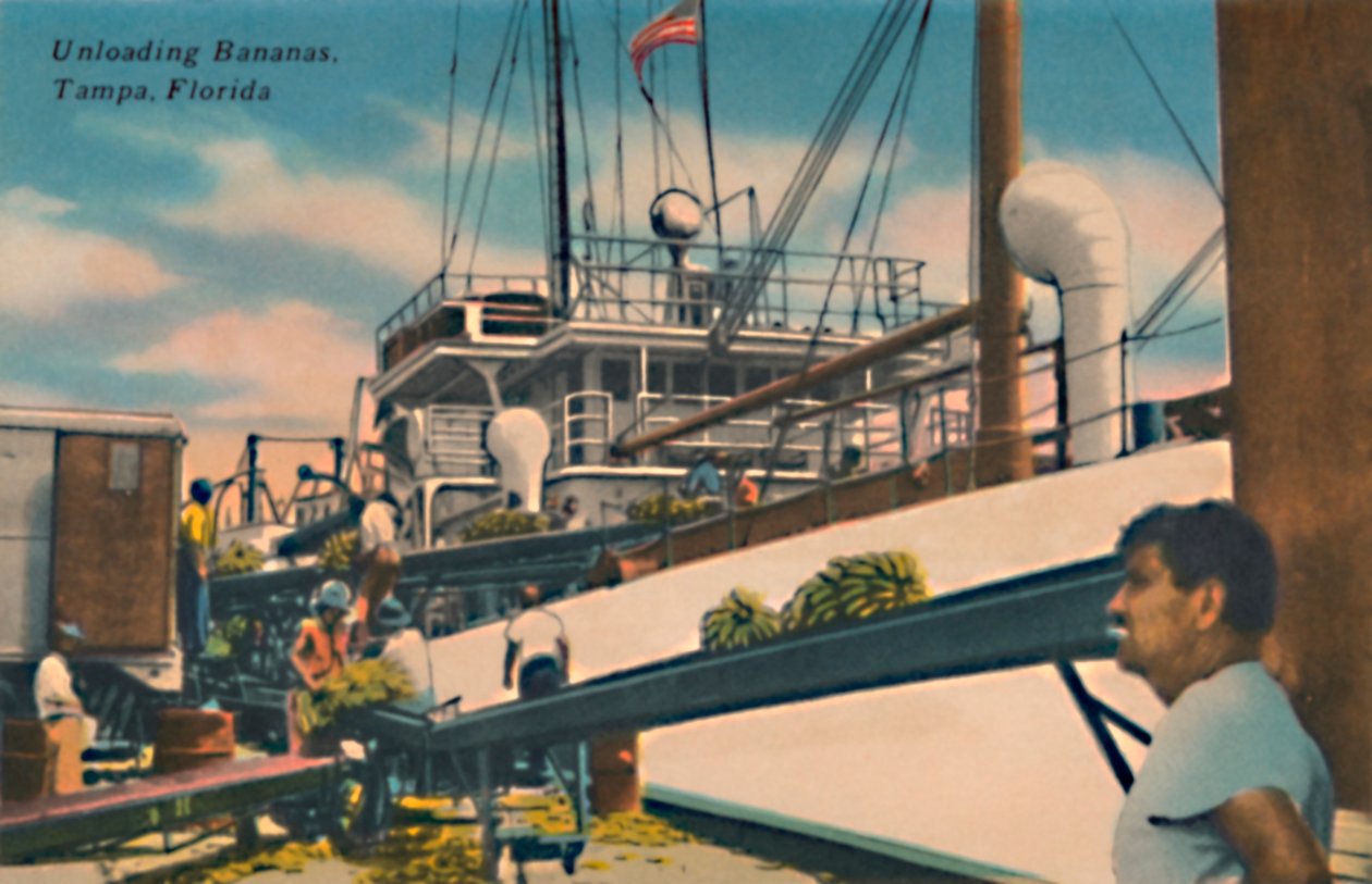 Loser bananer, Tampa, Florida, ca. 1940-tallet av Unbekannt