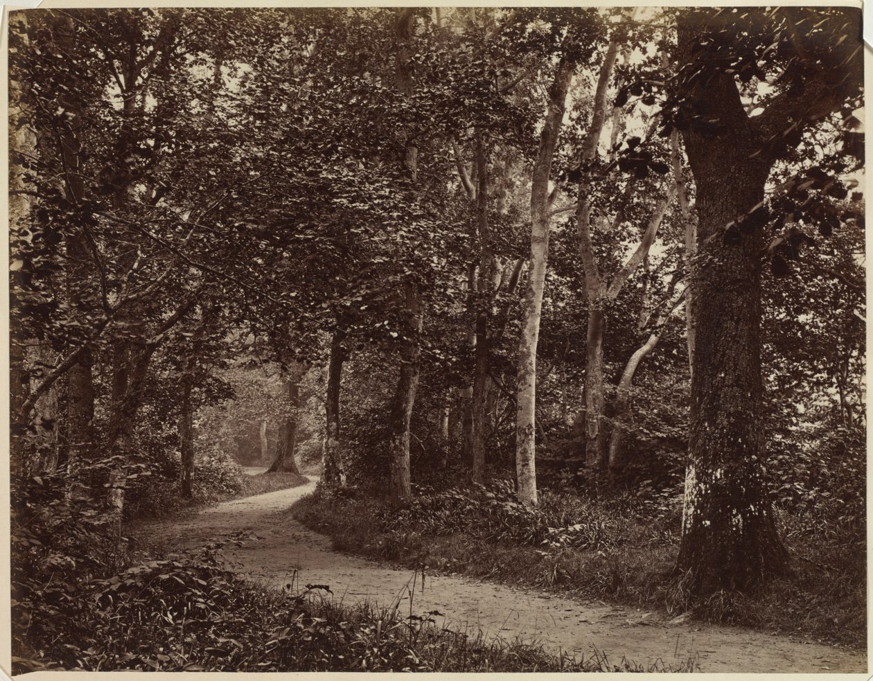 Uten tittel Landskap, tidlig på 1860-tallet. av Unbekannt