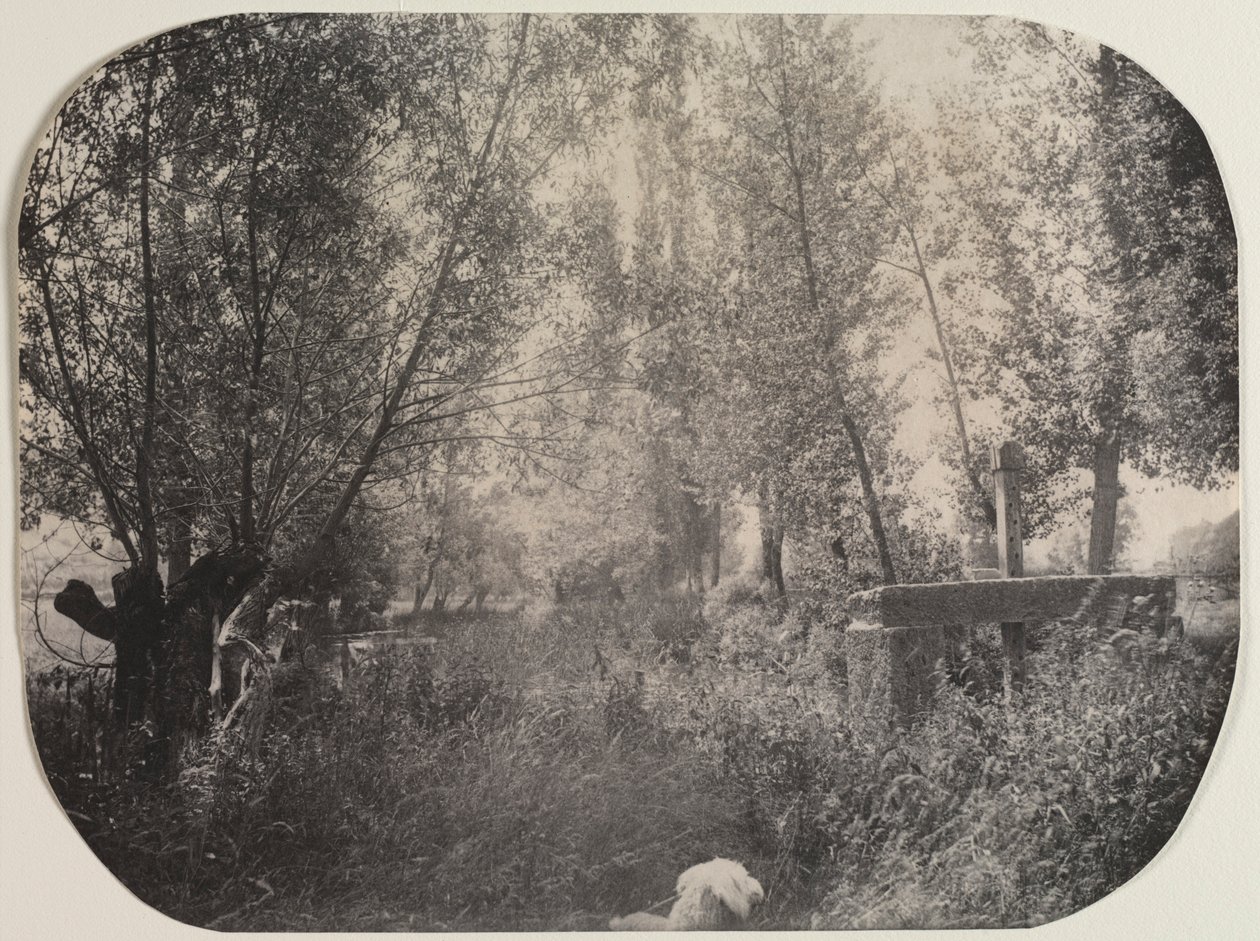 Uten tittel Landskap med hund, ca. 1910. av Unbekannt