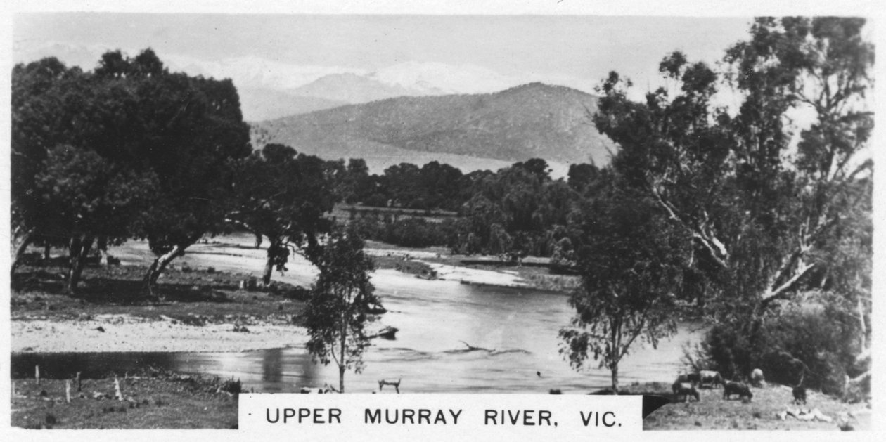 Upper Murray River, Victoria, Australia, 1928 av Unbekannt