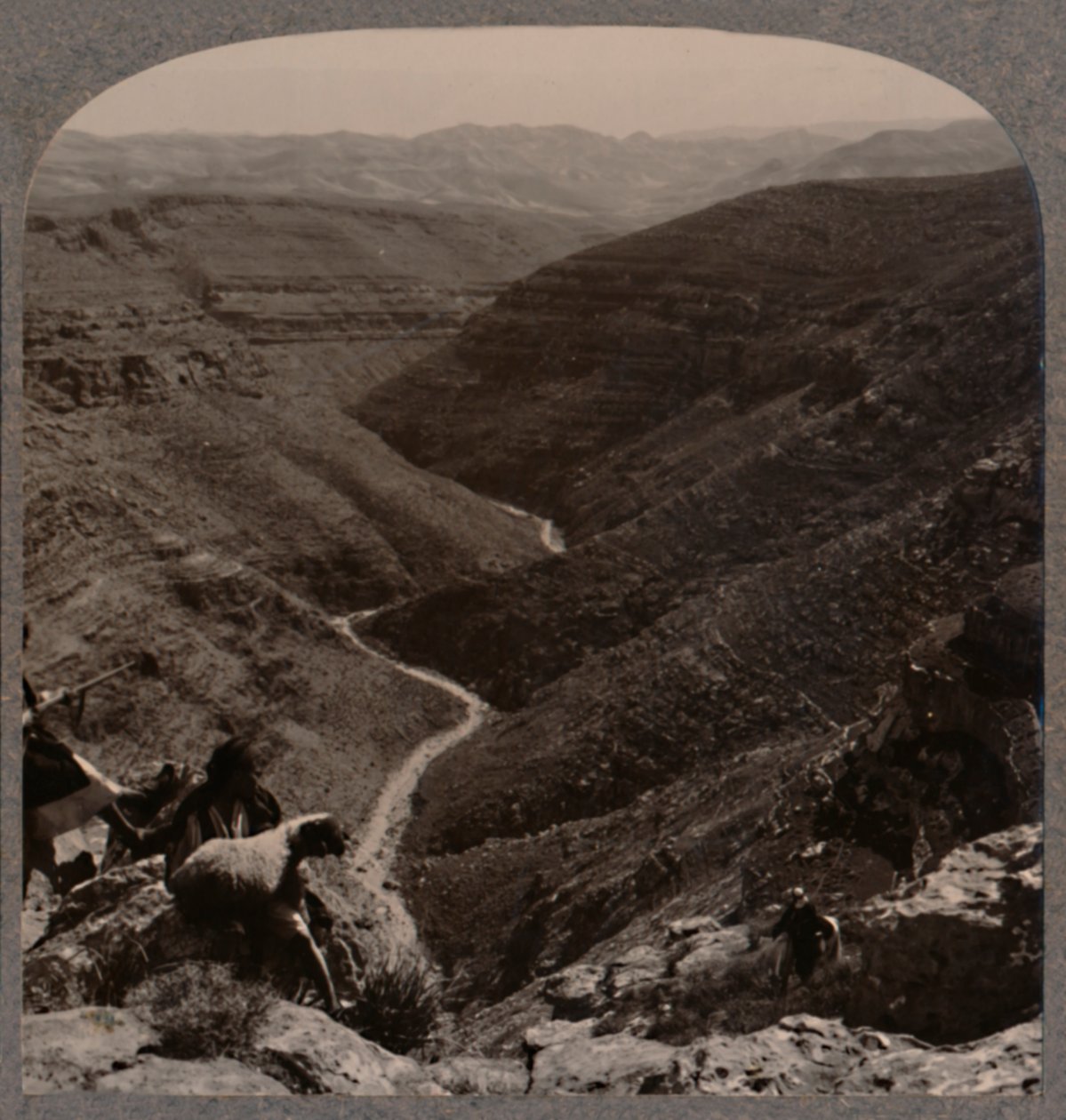 Arnodalen, gjeter og sauer i forgrunnen, ca 1900 av Unbekannt