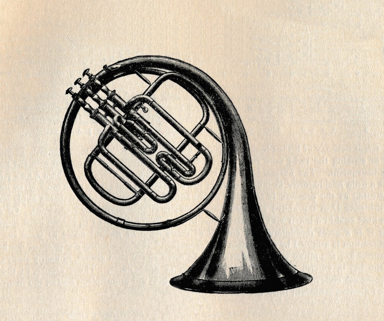 Ventilhorn, 1895. av Unbekannt