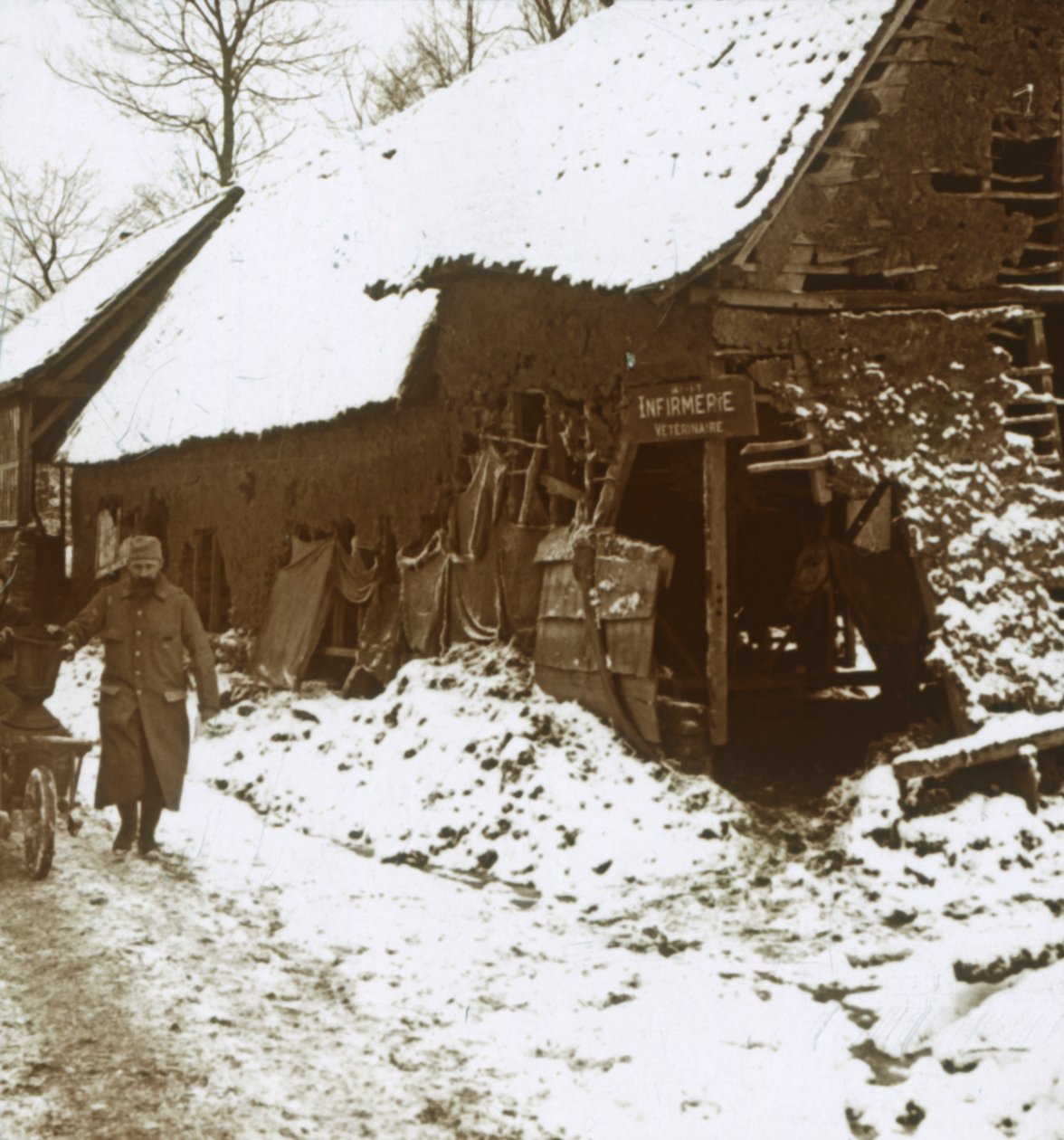 Veterinærstasjon for hester, Calonne, Nord-Frankrike, c1914-c1918 av Unbekannt