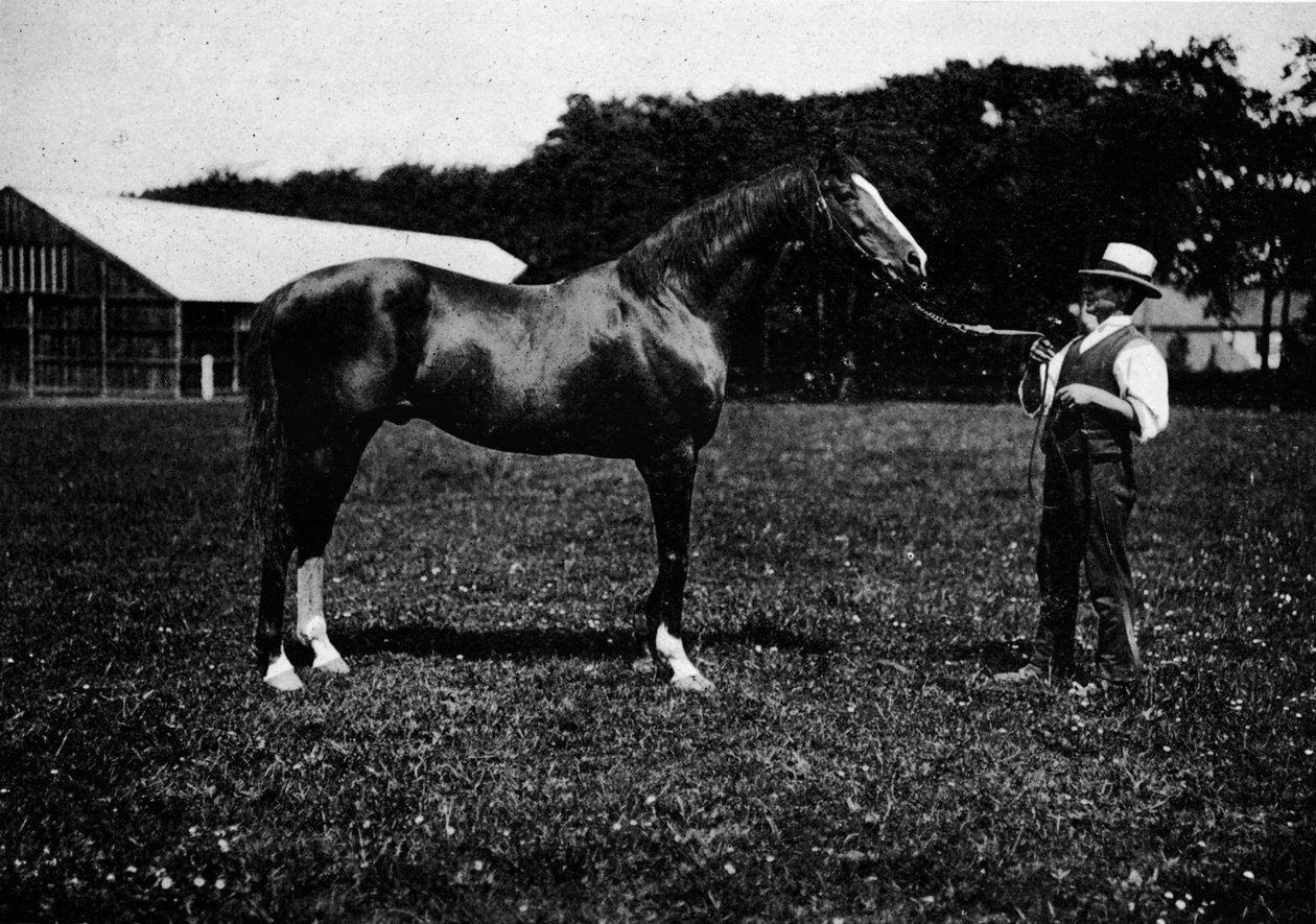 Victor Wild, 1911 av Unbekannt