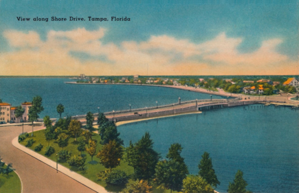 Utsikt langs Shore Drive, Tampa, Florida., ca 1940-tallet av Unbekannt