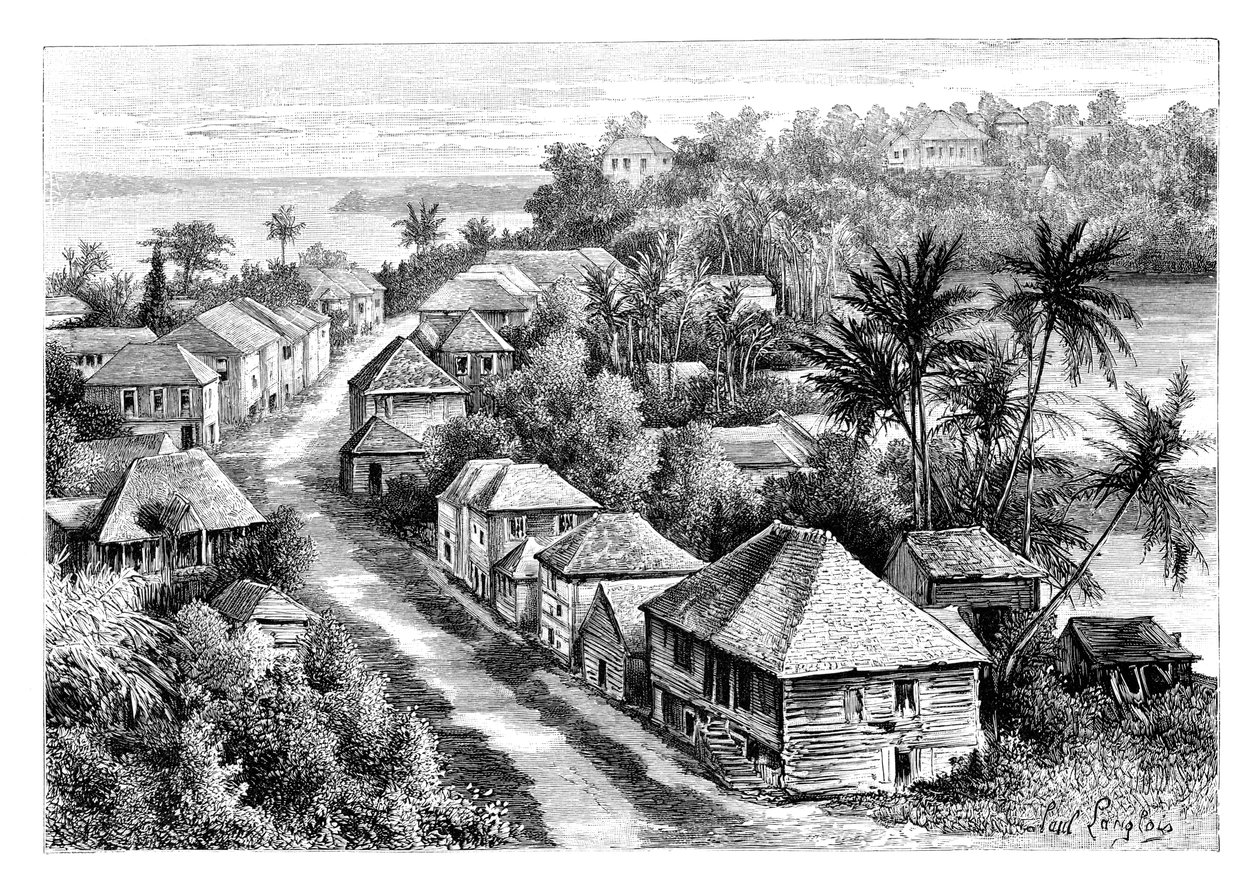 Utsikt over Basse-Terre, Guadeloupe, c1890 av Unbekannt