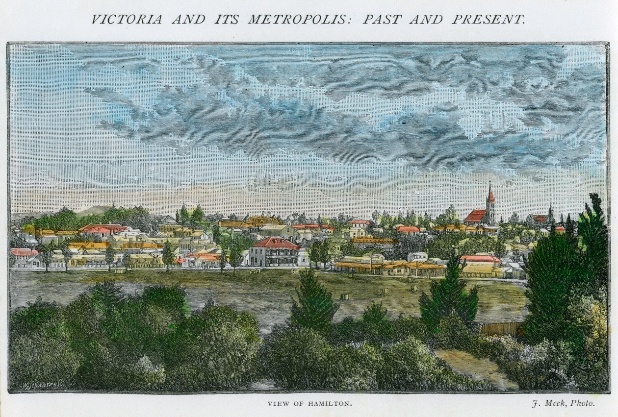 Utsikt over Hamilton, Victoria, Australia, c1885 av Unbekannt