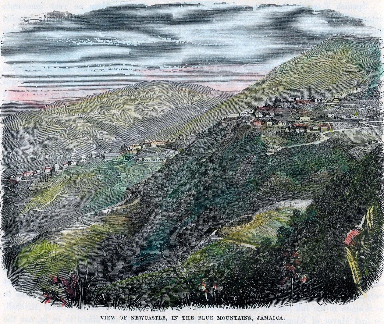 Utsikt over Newcastle, i Blue Mountains, Jamaica, c1880 av Unbekannt