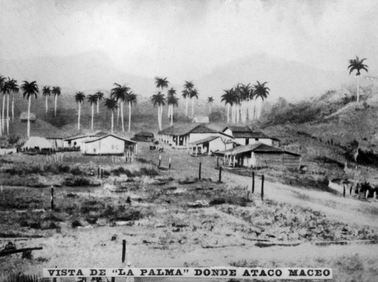 Utsikt over Palma, 1896, 1920-tallet av Unbekannt