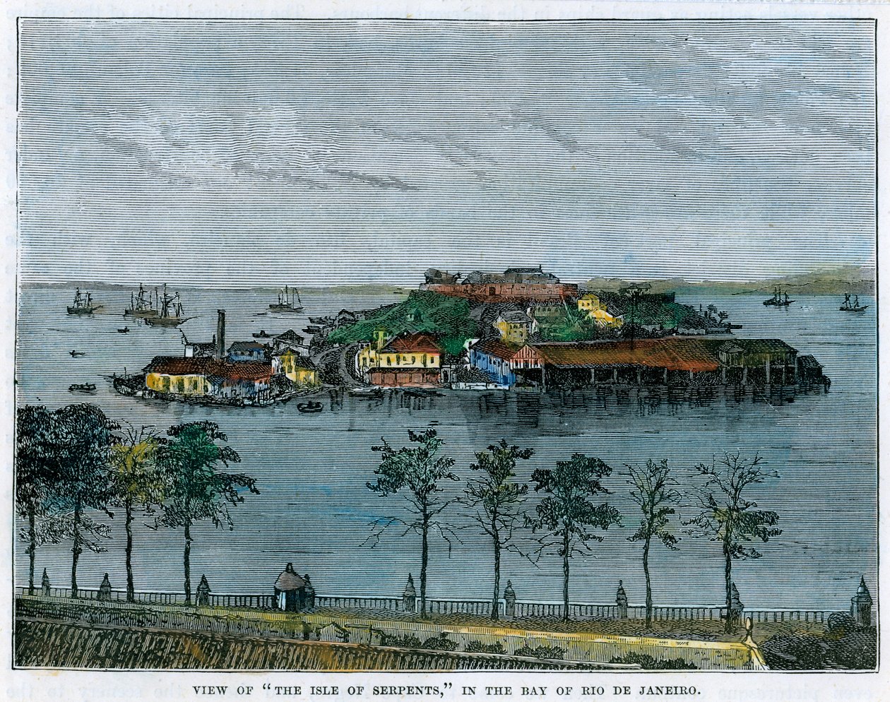 Utsikt over øya Serpents, i Rio de Janeiro-bukten, Brasil, c1880 av Unbekannt