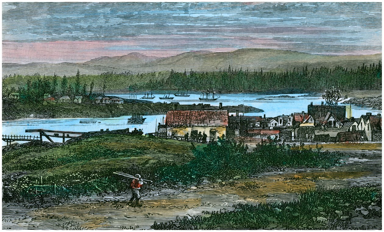 Utsikt over de vestlige forstedene til Victoria, Vancouver Island, British Columbia, Canada, c1880 av Unbekannt