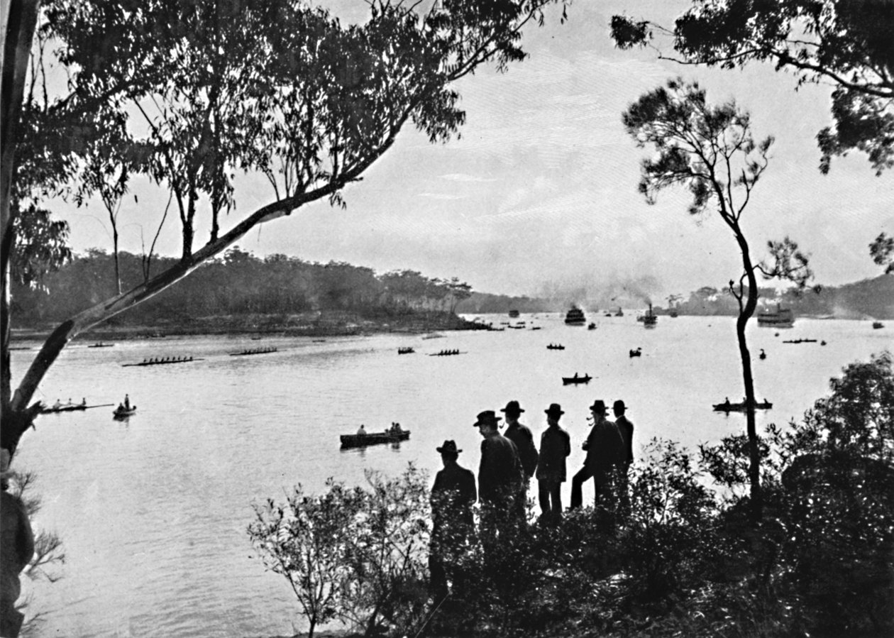 Utsikt over Parramatta-elven, c1900. av Unbekannt