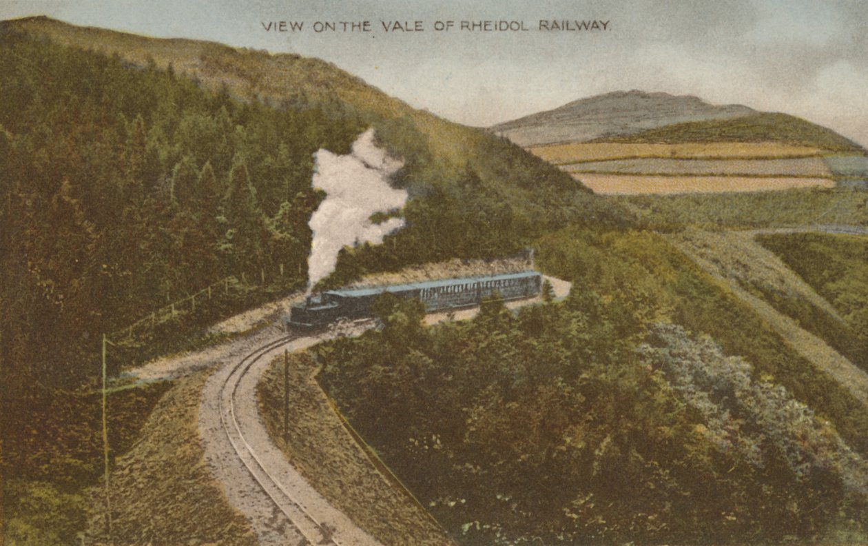 Utsikt over Vale of Rheidol Railway, tidlig på 1900-tallet. av Unbekannt