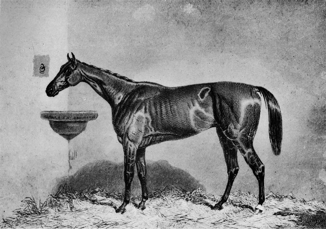 Virago, 1851-1869, 1911 av Unbekannt
