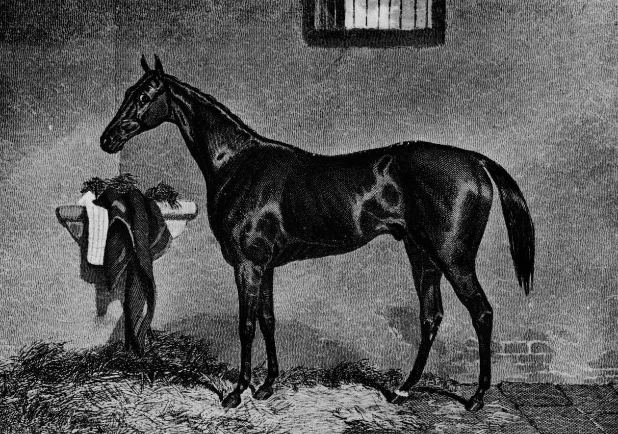 Voltigeur, 1847-1874, 1911 av Unbekannt