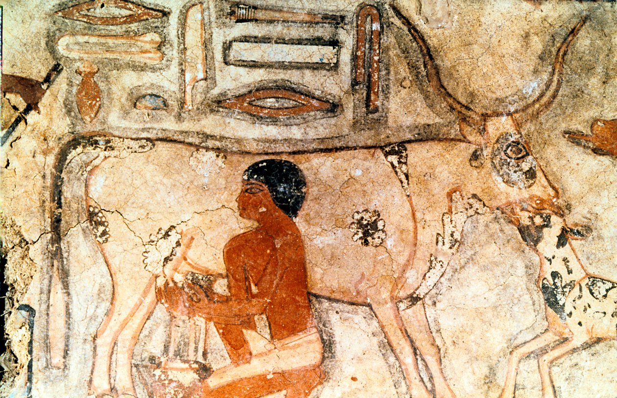 Veggmaleri fra graven til Methethi, Saqqara, det gamle Egypt, Det gamle riket, c2371-2350 f.Kr. av Unbekannt