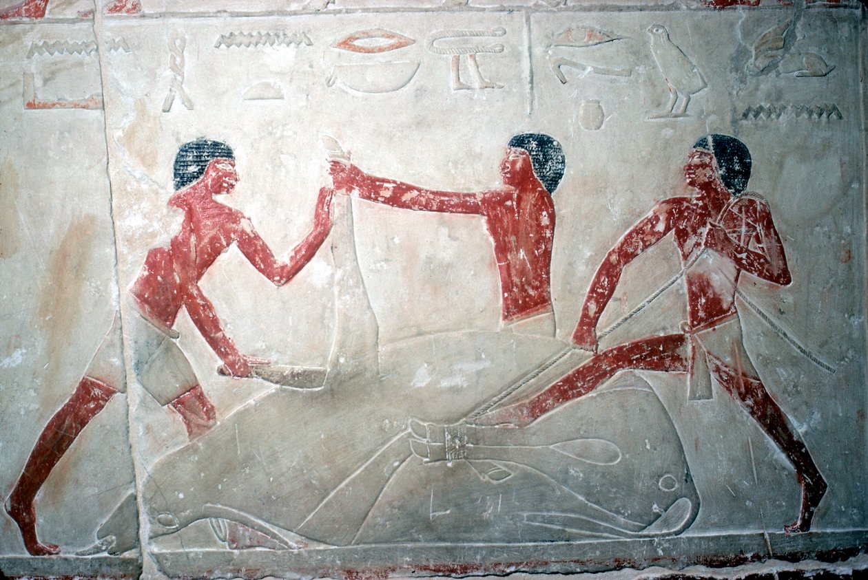 Veggmaleri av 3 slaktere som skjærer opp en skrott, Tomb of Idut, 5th Dynasty, c2350 BC av Unbekannt