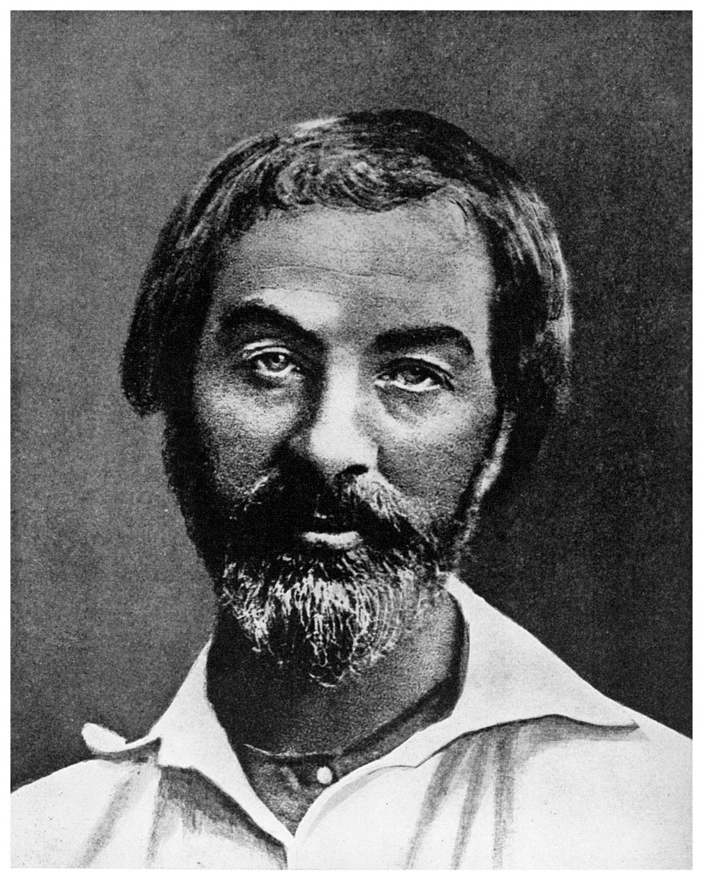 Walt Whitman , amerikansk poet, 1800-tallet 1956 av Unbekannt