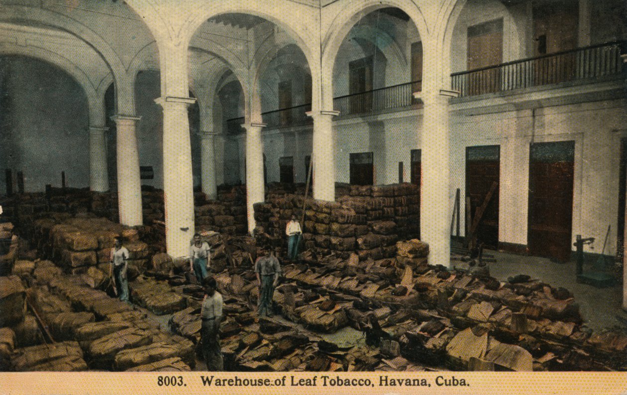 Lager av bladtobakk, Havana, Cuba, c1910 av Unbekannt