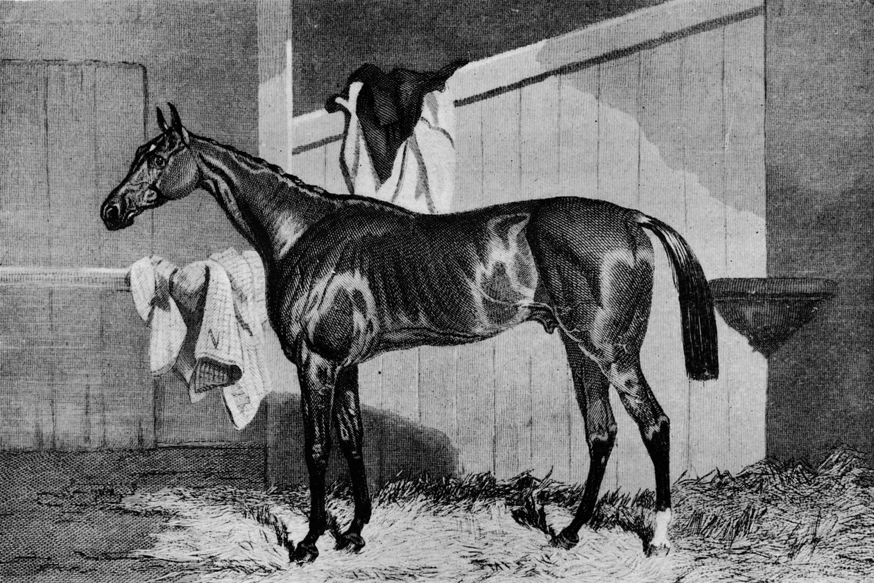 Warlock, 1800-tallet, 1911 av Unbekannt