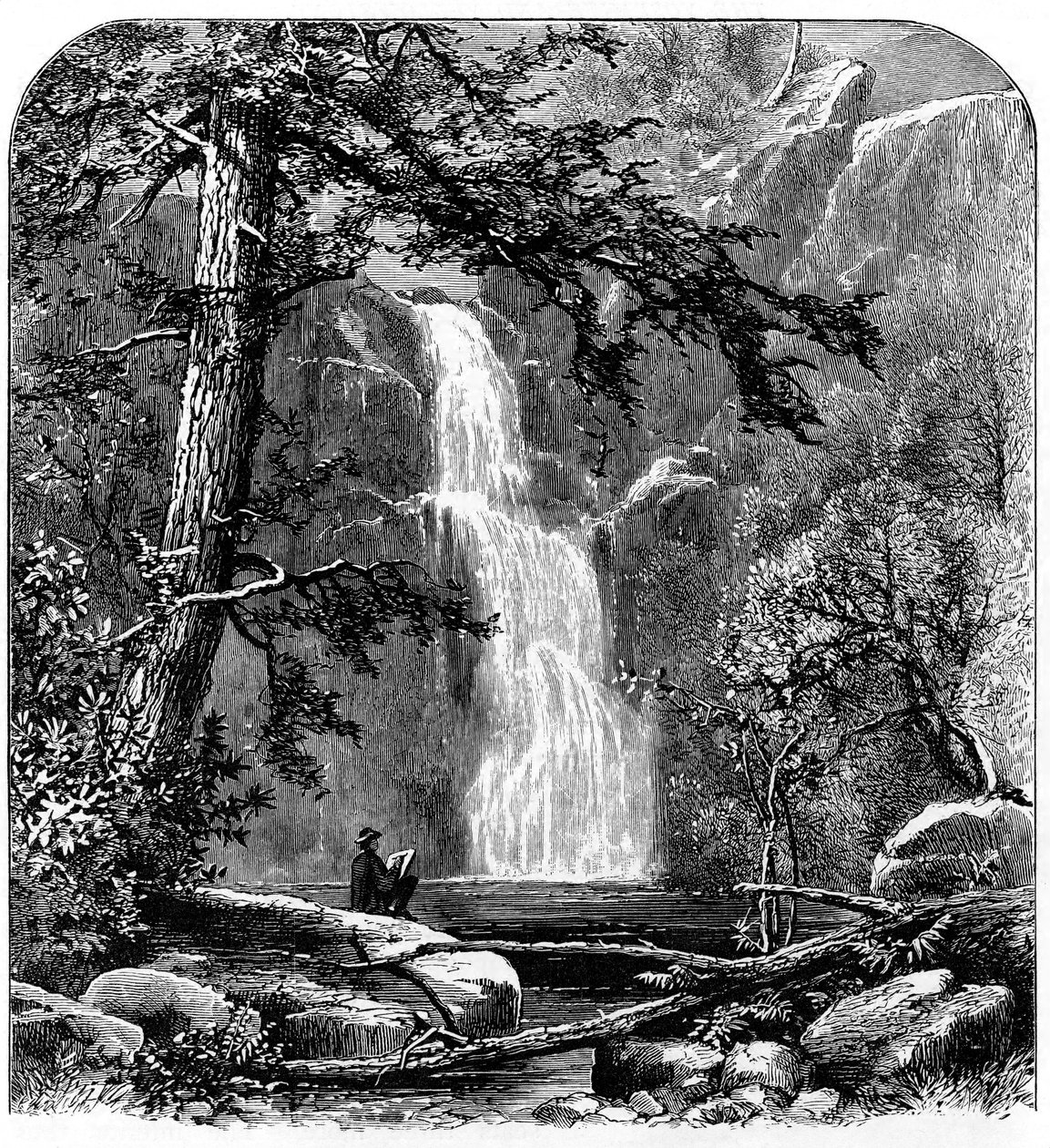 Foss i Yosemite Valley, California, USA, c1875 av Unbekannt