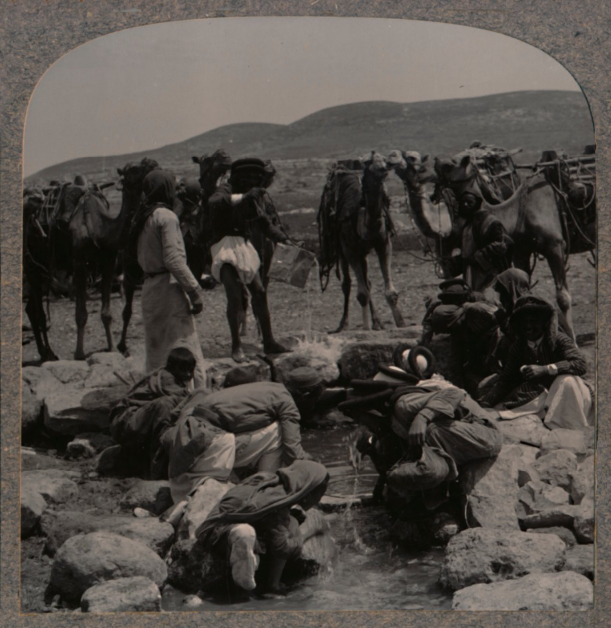 Vanning av kameler ved Jacobs Well, c1900 av Unbekannt