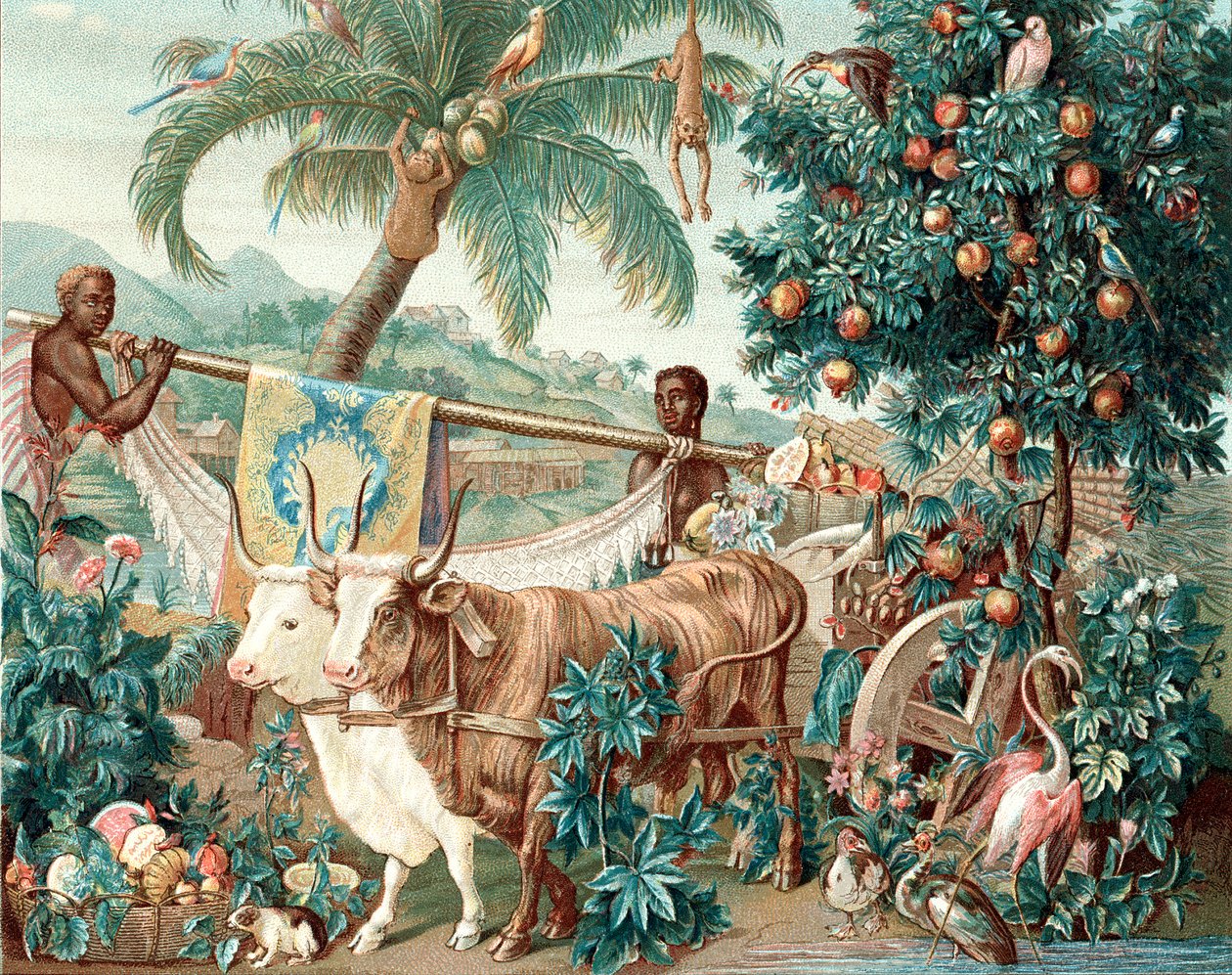 Wealth of the Indies, 1600-tallet av Unbekannt