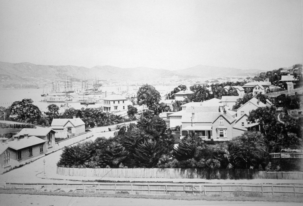 Wellington, New Zealand, 1875 av Unbekannt