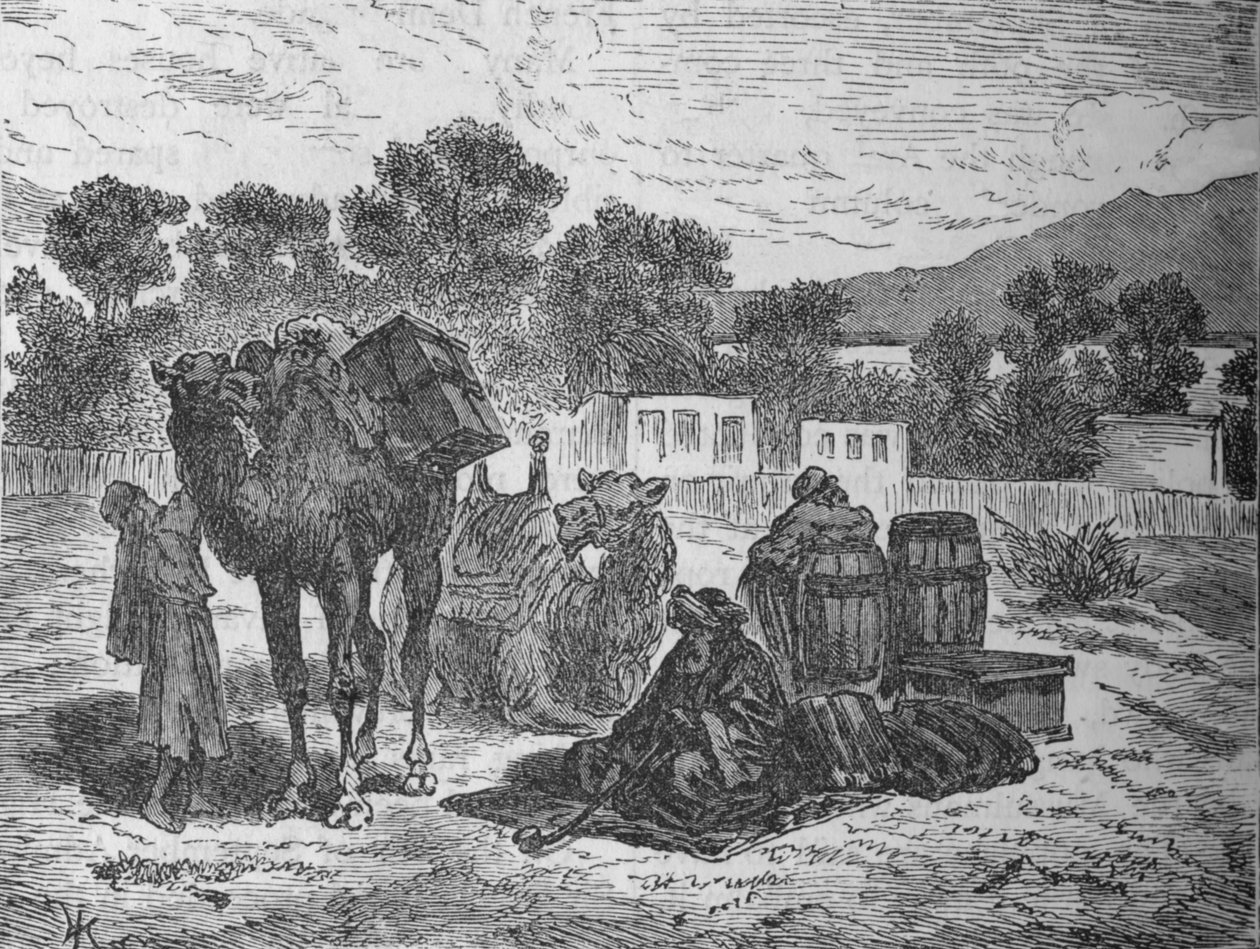 Wells of Moses, nær Suez, c1882 av Unbekannt