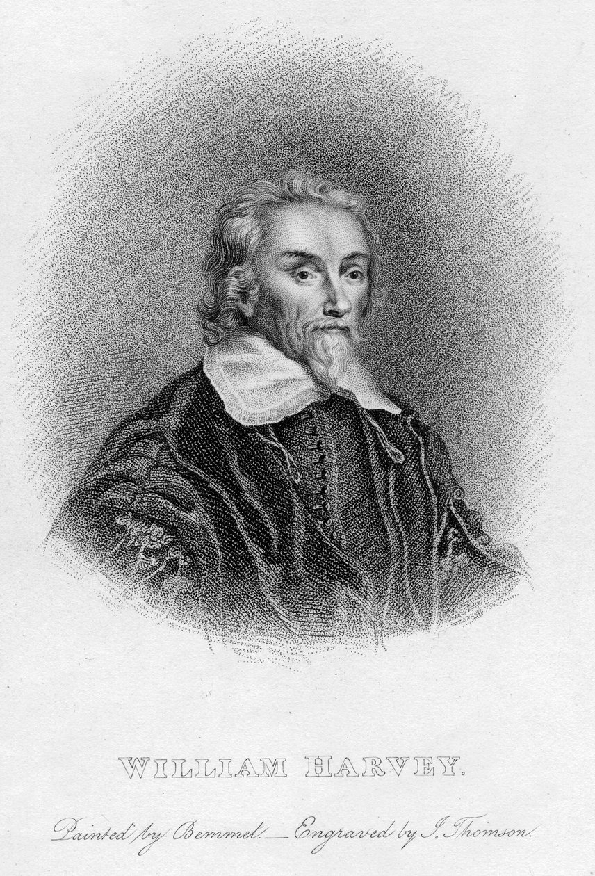 William Harvey 1578-1657 engelsk lege, c1600-tallet av Unbekannt