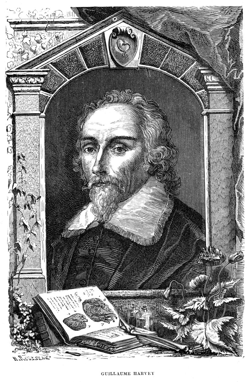 William Harvey 1578-1657 engelsk lege, c1600-tallet av Unbekannt